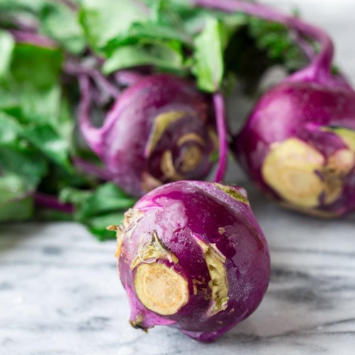 Doğal Mor Kohlrabi Alabaş Tohumu 20 Tohum