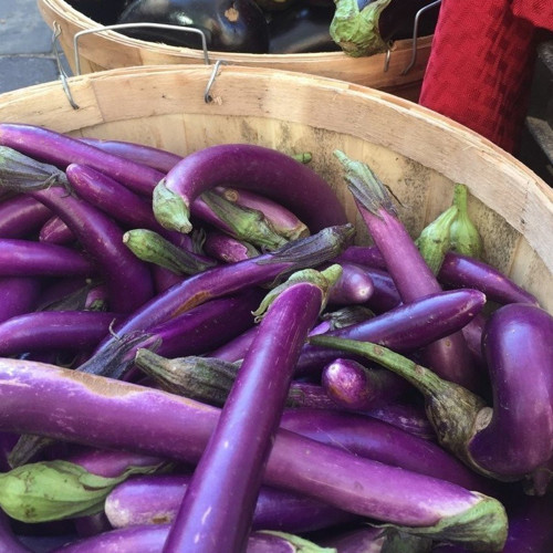 Doğal Long Purple Patlıcan Tohumu 50 Tohum