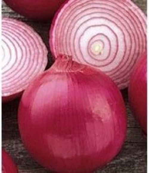 Doğal Red Grano Soğan Tohumu(50 Tohum)
