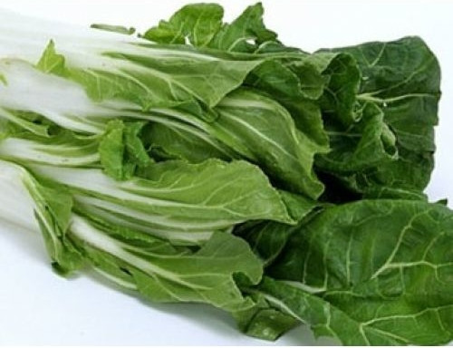 Doğal Geniş Yaprak Pazı Tohumu(40 Tohum)