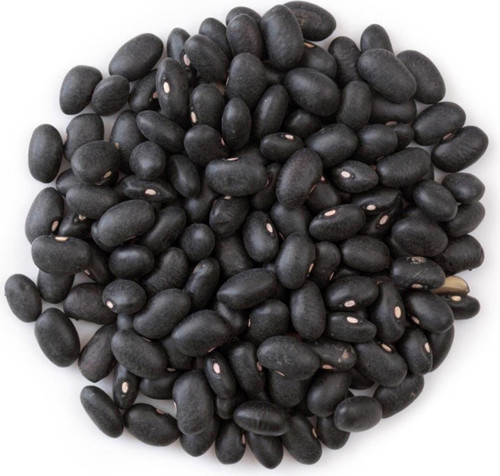 Doğal Black Turtle Siyah Fasulye 10 Tohum