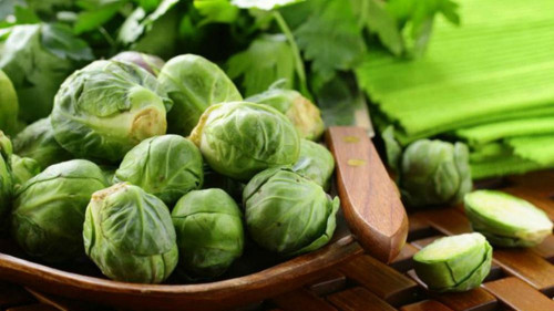 Brüksel Lahanası Sebzesi Tohumu 20 'Li Saksı Torf