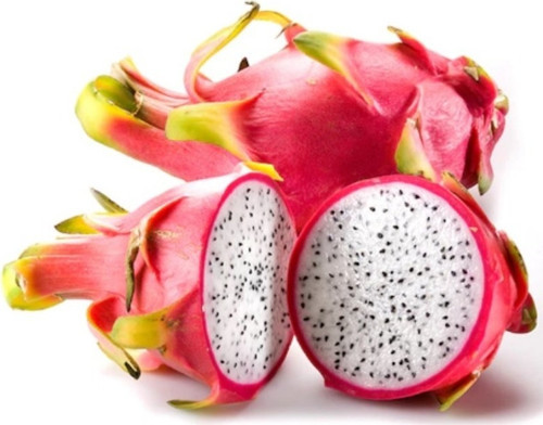Bodur Beyaz Pitaya Ağacı Tohumu Ekim Seti 10 Tohum + Saksı +Toprak