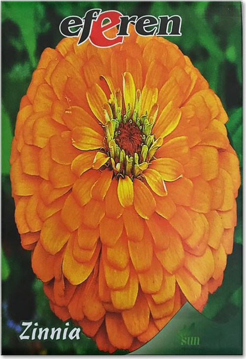 Zinnia Çiçek Tohumu