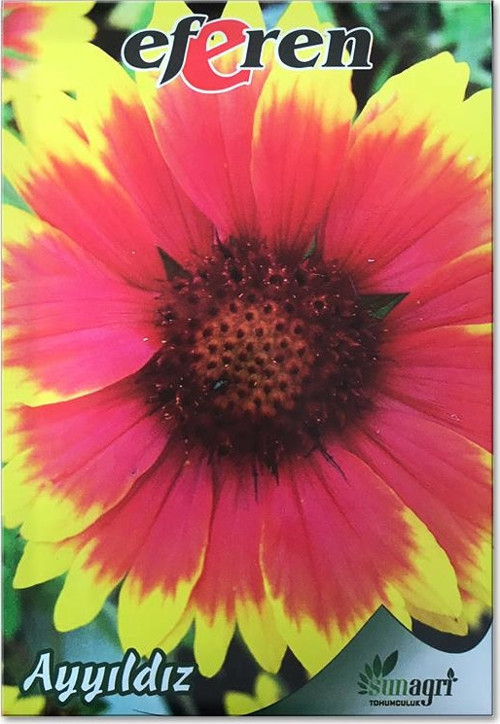 Ayyıldız Çiçek Tohumu