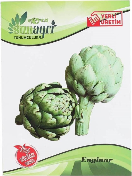 Enginar Tohumu