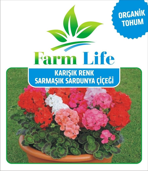 8 Adet 8 Renk Sarmaşık Sardunya Tohumu