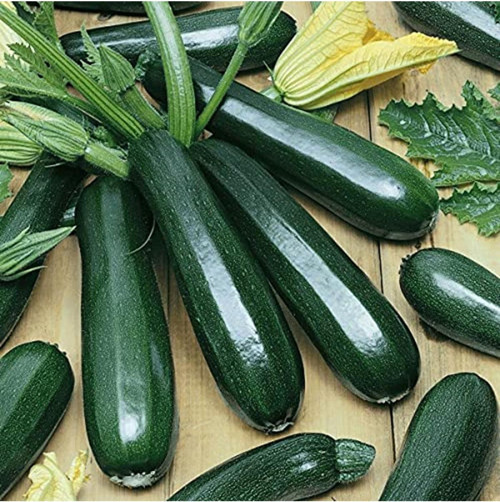 Agrodal Tarım Ata Tohumu Yerli Esmer Siyah Kabak Tohumu Tohum