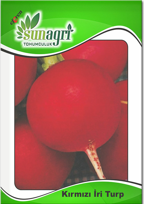 Kırmızı Iri Turp Tohumu – Sunagri
