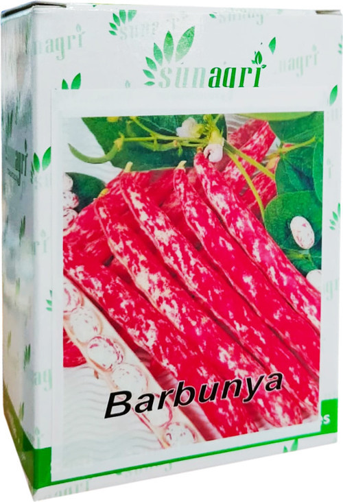 Sunagri Barbunya Oturak Fasulye Tohumu 100Gr