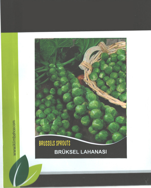 Brüksel Lahana Tohumu 125+ Adet Tohum Bürüksel Lahanası Notion Iklim Bahçe Tohumculuk