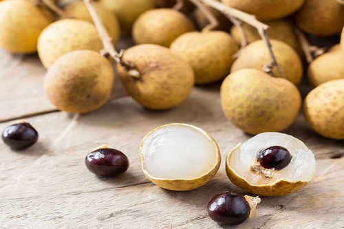 Longan Ejder Gözü Meyvesi̇ Ağaci Tohumu + Çi̇Mlendi̇Rme Seti̇