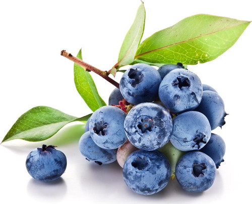 10 Adet Tohum Yaban Mersini Tohumu Blueberry Tohumu Süpriz Hediye Tohumu