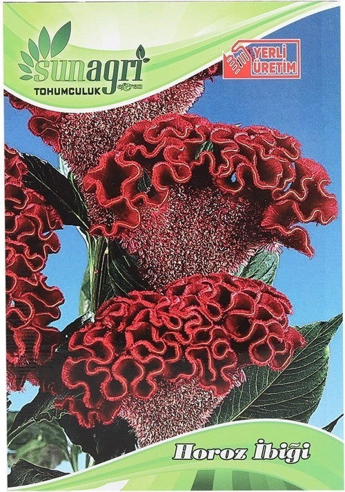 Sunagri Horozibiği Çiçek Tohumu