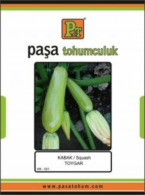 Kabak Tohumu 10 Gr Toygar Sakız Kabak Kol Atmaz