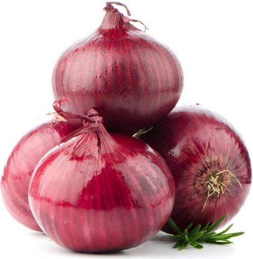 Soğan Tohumu 5Gr (Burgaz- Kapıdağ Soğanı ) 1000+ Adet Tohum) Balıkesir