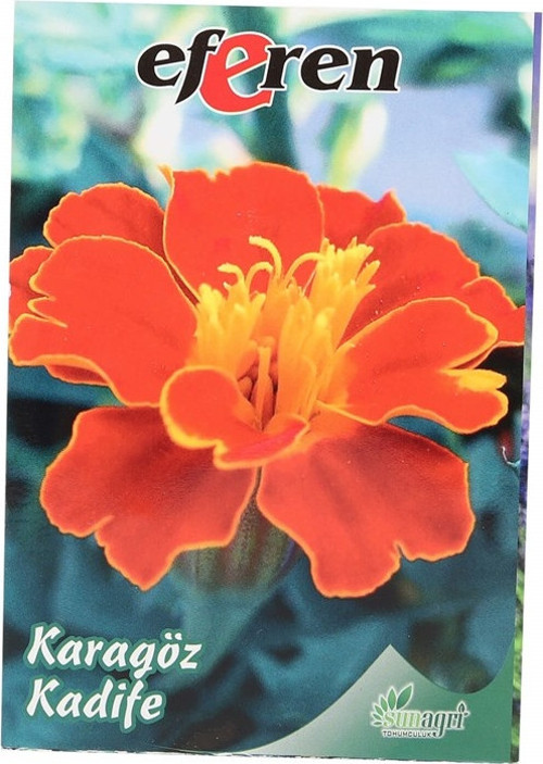 Sunagri Karagöz Çiçeği Tohumu
