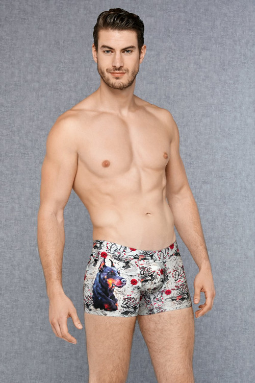 Erkek Modal Çok Renkli Baskılı Torbalı Normal Paça Boxer 1808