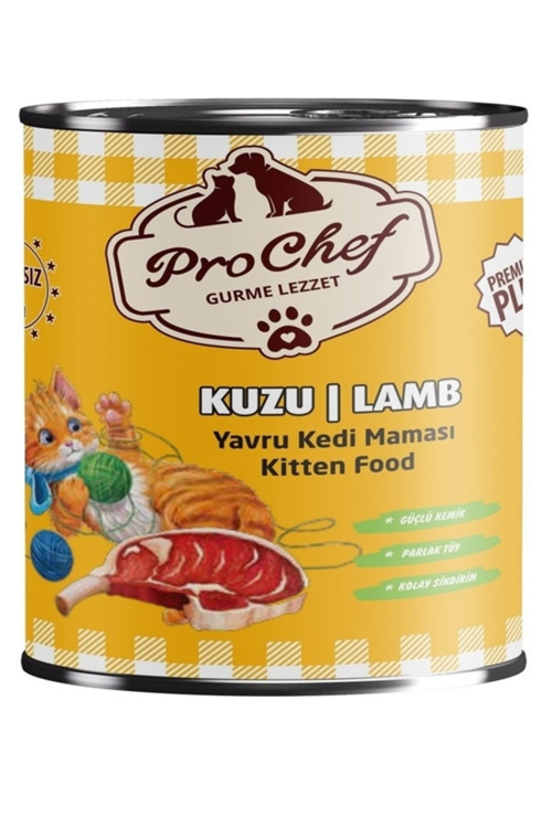 16 Adet Premium Plus Yavru Kedi Maması | 415 Gr Kuzu Etli Konserve Yaş Mama