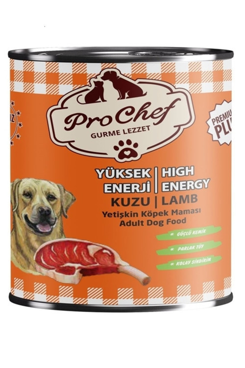 16 Adet Premium Plus Yetişkin Yüksek Enerji Köpek Maması | 415 Gr Kuzu Etli Konserve Yaş Mama