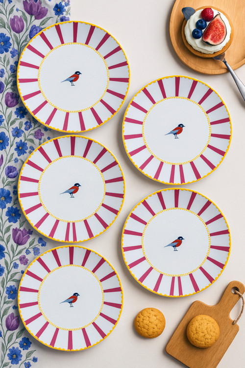 Kuş Desenli Pembe Çizgili 6’Lı Pasta Ve Tatlı Tabağı Seti (20 Cm) – Modern Ve Şık Sunum Tabakları