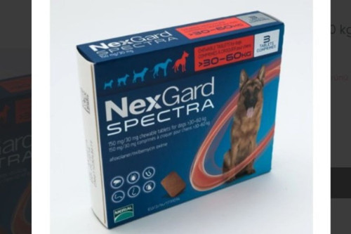 Spectra (30-60 kg) Köpekler İçin 1 Kutu