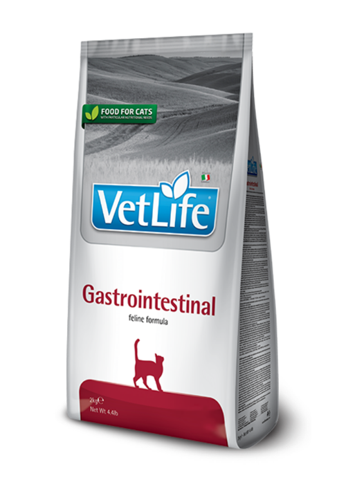 Natural Adult Cat Gastrointestinal Diyet Yetişkin Kedi Maması 10 Kg