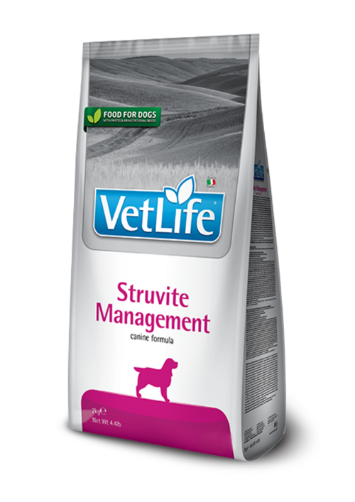 Natural Adult Dog Management Struvite Diyet Yetişkin Köpek Maması 12 Kg