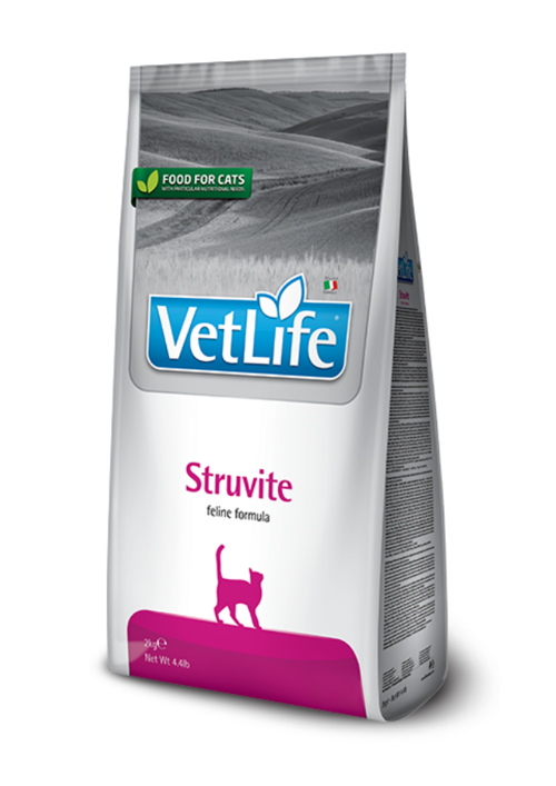 Natural Adult Cat Struvite Diyet Yetişkin Kedi Maması 10 Kg