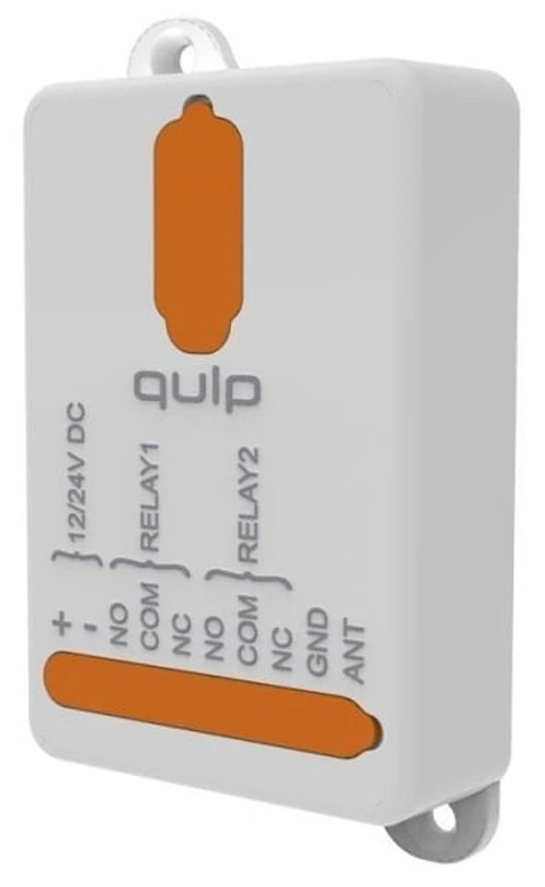 Qulp R2 – 2 Kanallı Değişken Kodlu Alıcı