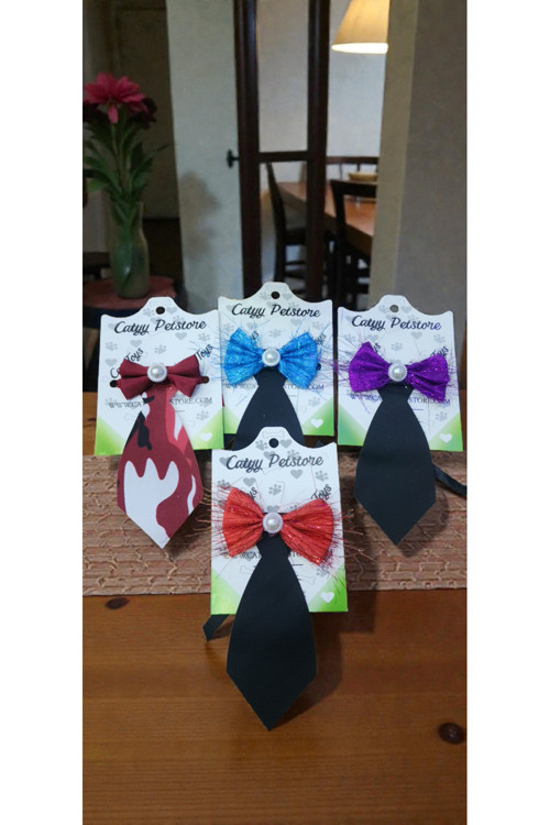 4'Lü Set Kedi Tasması