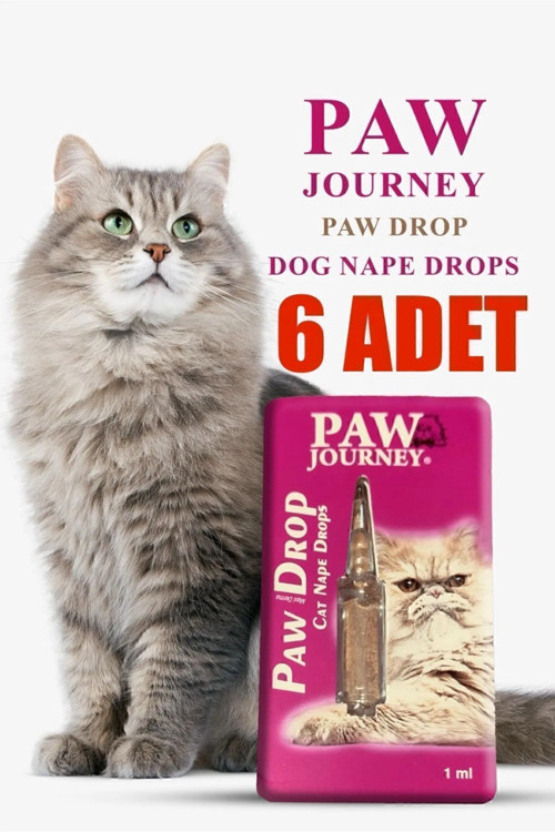 6Lı Damlatma Çözeltisi