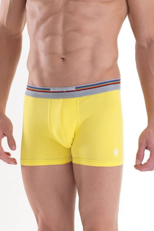 9550 Colours %95 Pamuklu Erkek Renkli Boxer