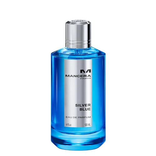 Silver Blue EDP 120 ml Unisex Parfüm