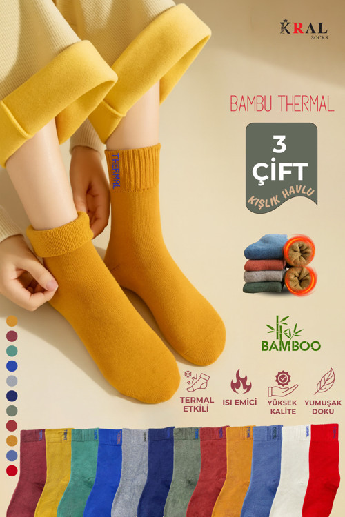 Thermo Özellikli 2X Korumalı (3 Çift) Kadın Termal Renkli Kışlık Yün Havlu Çorap