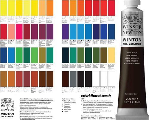 Winsor Newton Winton Yağlı Boya 200ml Phthalo Deep Green / 48