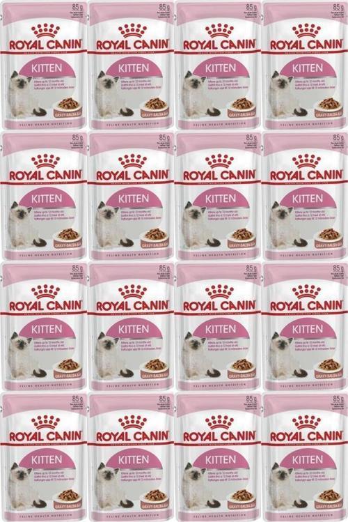 Kitten Gravy Kedi Mamasi 85 gr 12 Adet