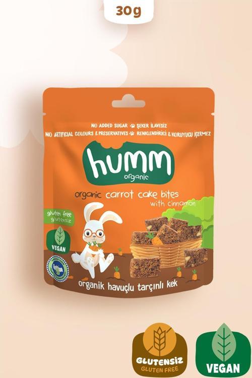 Organik Glutensiz Vegan Havuçlu ve Tarçınlı Kek 