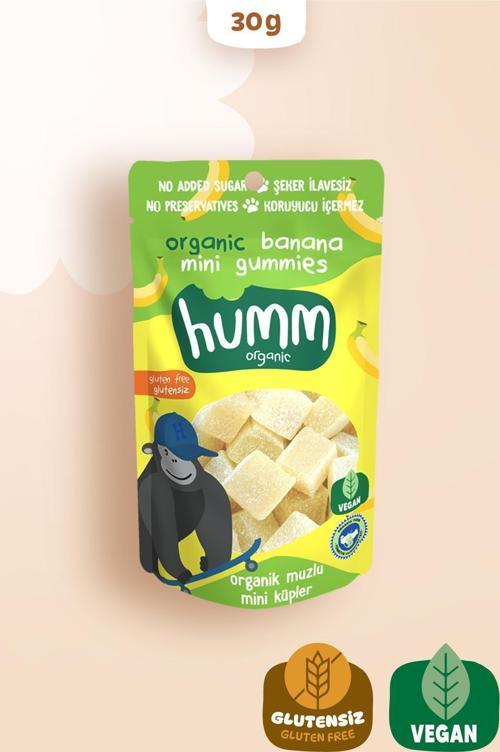 Organik Glutensiz Vegan Muzlu Mini Küpler
