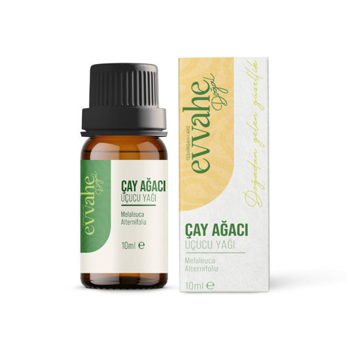 Çay Ağacı Yağı (10ml.)
