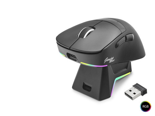 Büro Ev Ofis Bilgisayarı için Siyah Şarj Stadlı Kablosuz Rgb Gaming Rgb Mouse