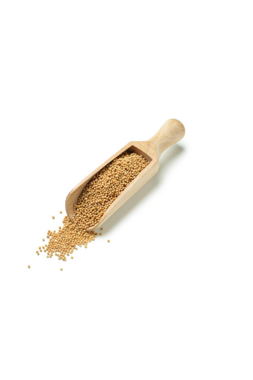 Sarı Hardal Tohumu 100Gr