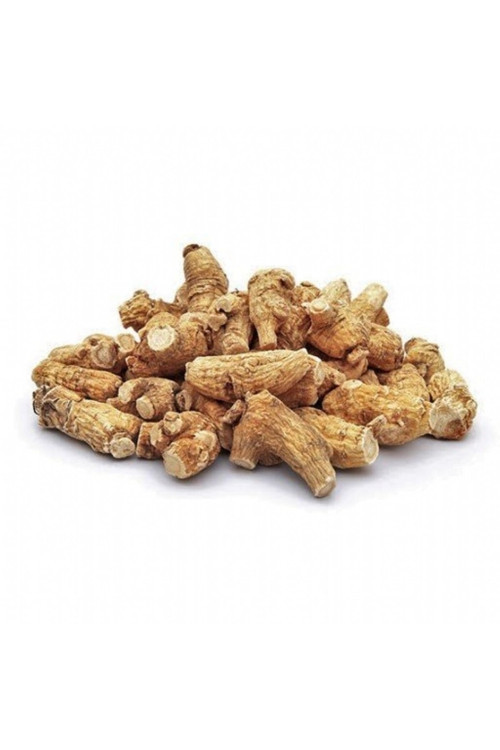 Çöven Kökü 100Gr
