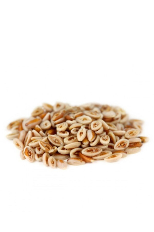Karnıyarık Otu Tohumu 100Gr