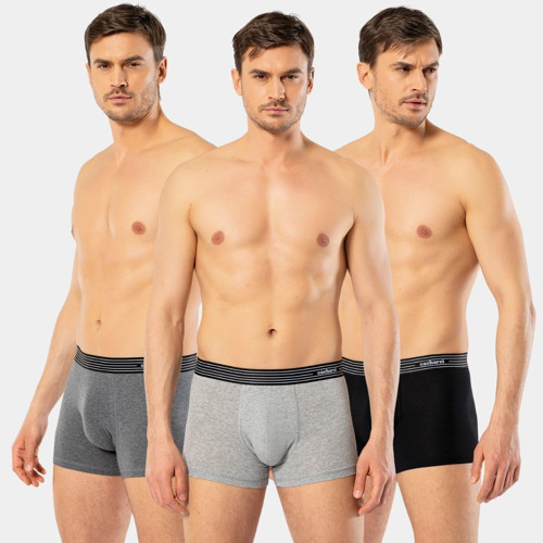 Erkek 3'lü Boxer 1320/Siyah-Antrasit-Gri