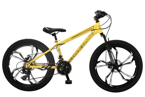 Lion 24 MD13 Mono Disk Fren Bisiklet (135 ile 155cm arası boy)
