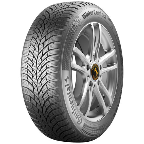 195/55R16 91H XL WinterContact TS 870 (Kış) (2025)