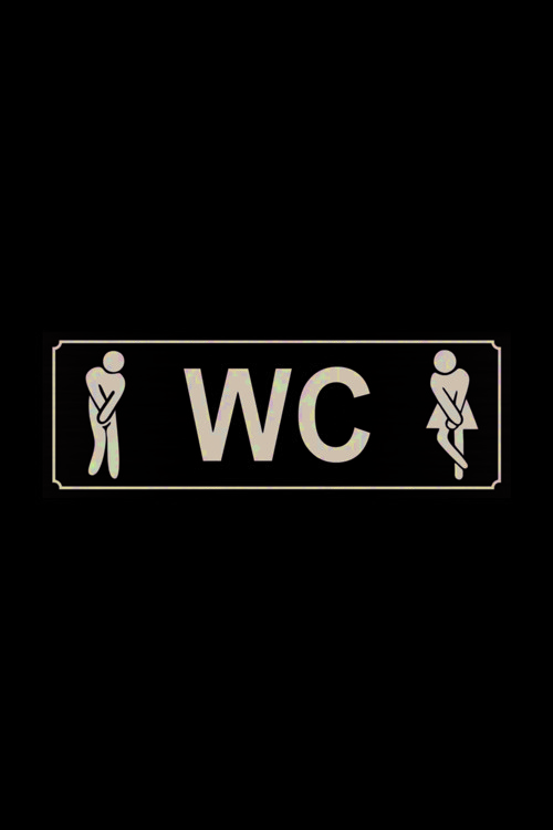 Wc Bay Yönlendirme Levhası 7 X 20 Cm Yapışkanlı Gümüş Renk