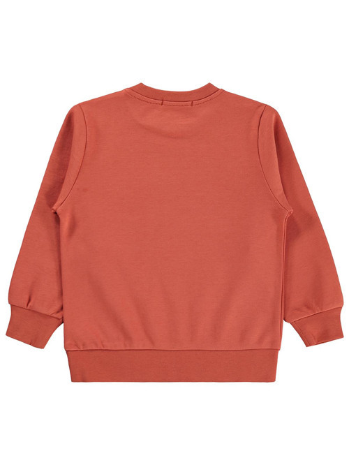 Kaykay Köpek Baskılı 2-5 Yaş Sweatshirt - Turuncu 2-3 Yaş