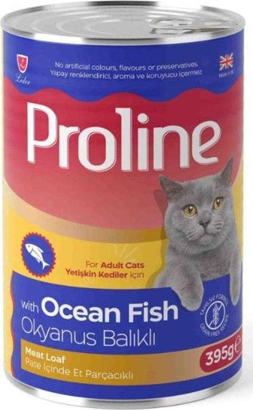 Okyanus Balıklı Yetişkin Kedi Konservesi 395 Gr